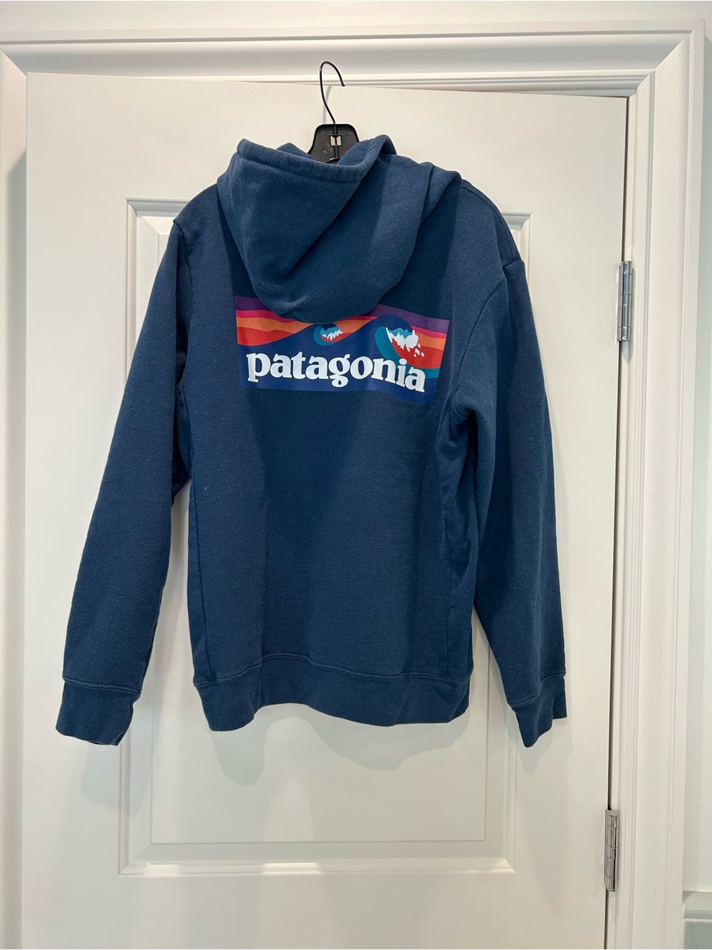 Patagonia Graphic Hoodie Sweatshirt